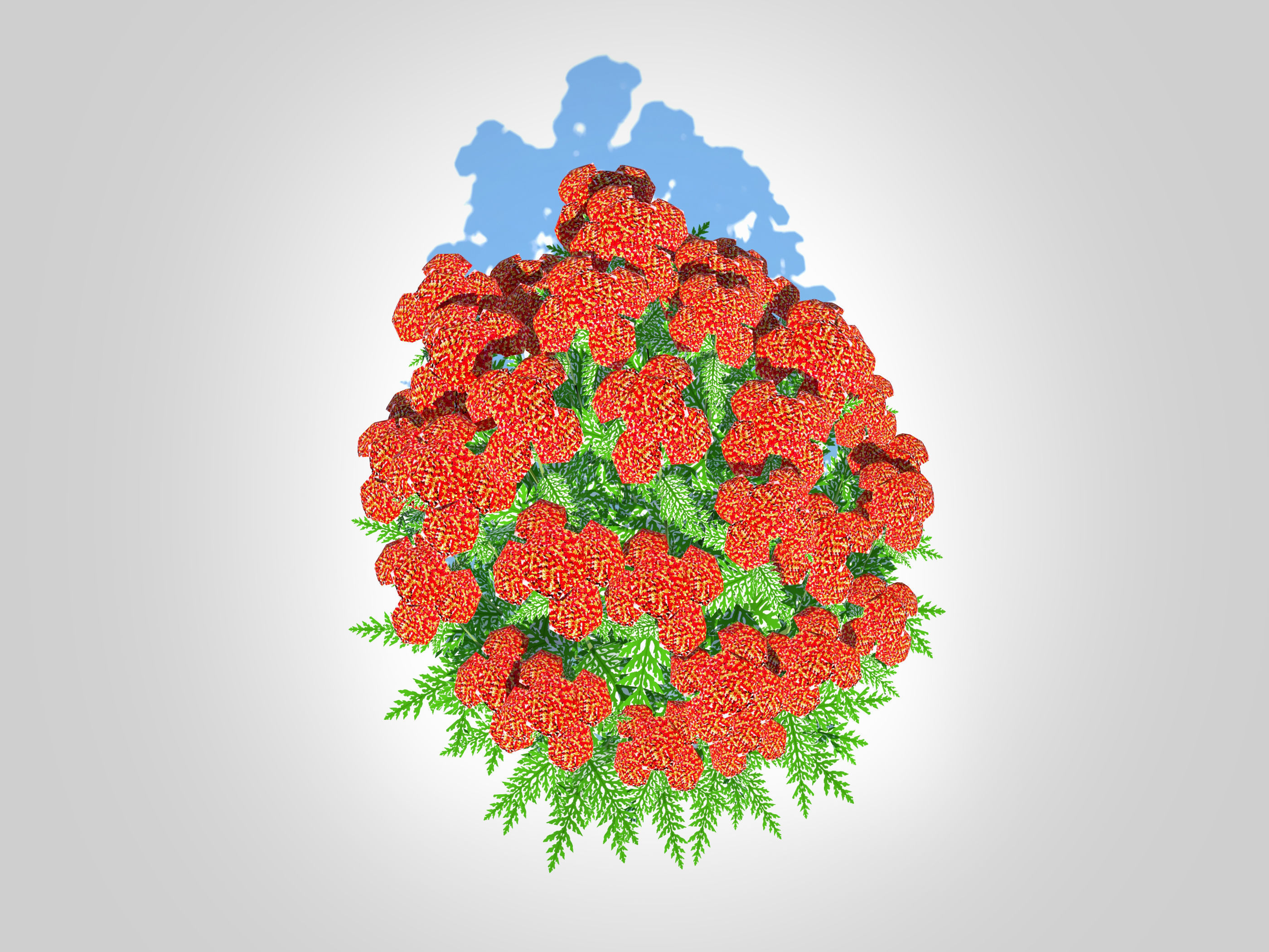 Achillea - yarrow red Low-poly 3D model_5