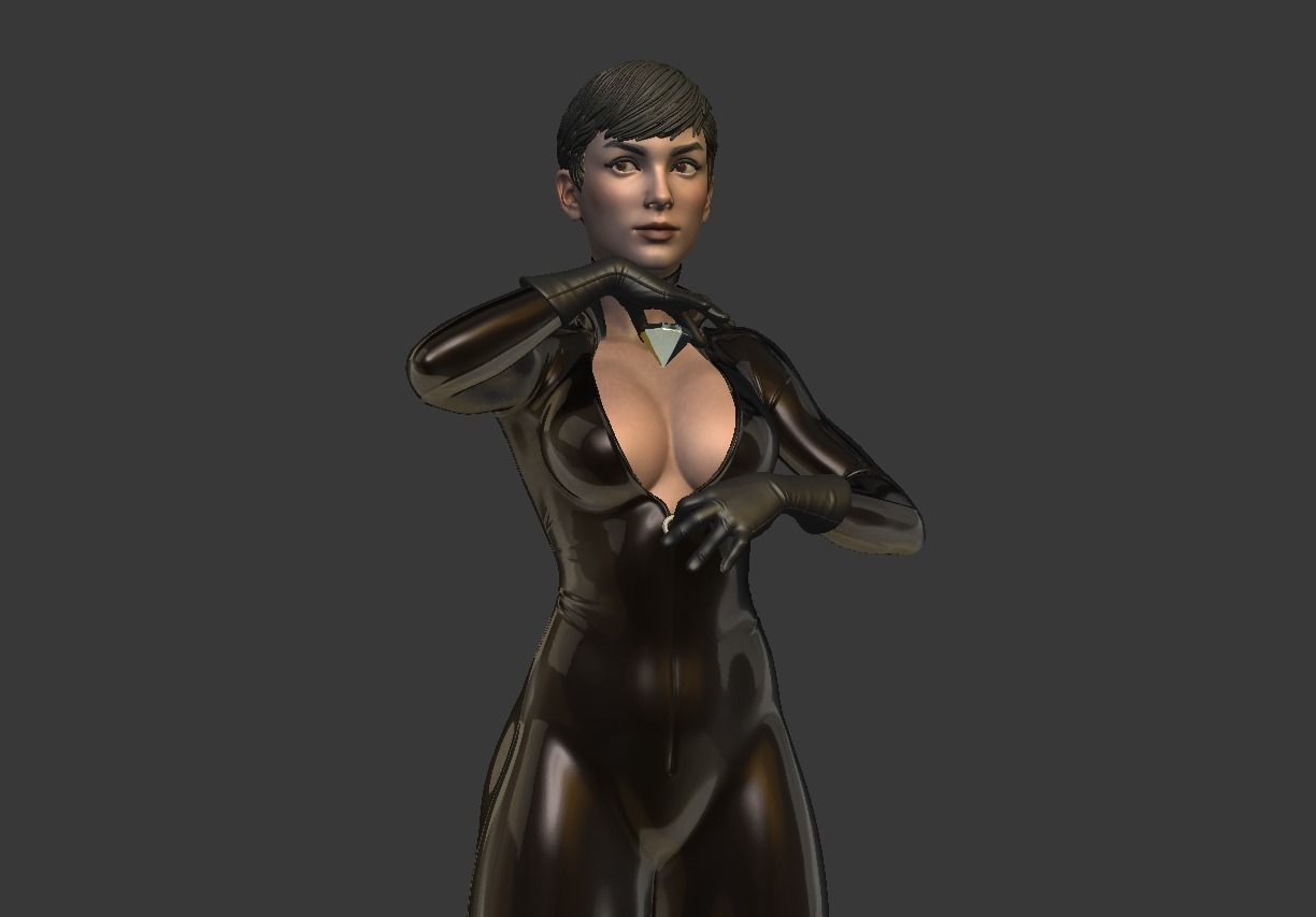 Catwoman bust 3d printable 3D print model_29