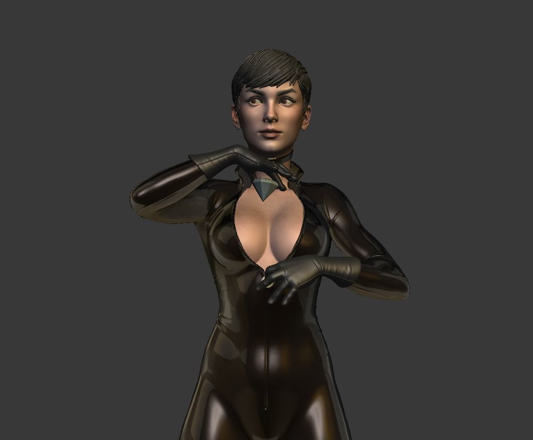 Catwoman bust 3d printable 3D print model_19