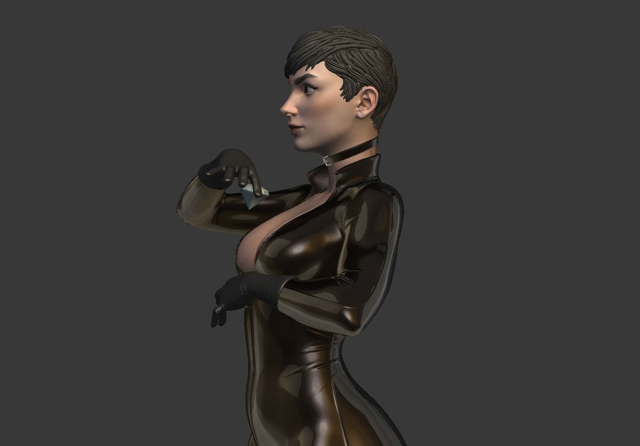 Catwoman bust 3d printable 3D print model_28