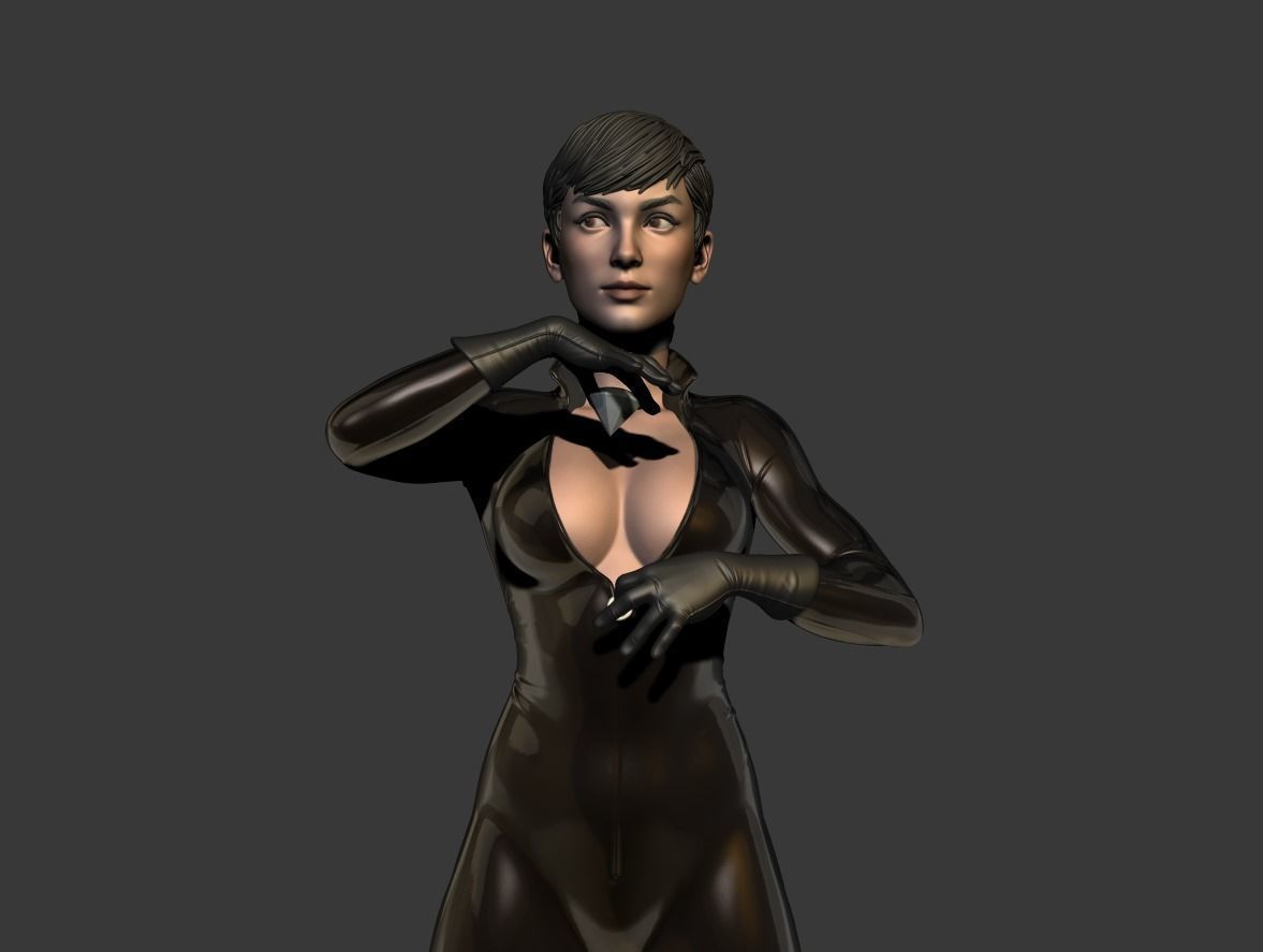Catwoman bust 3d printable 3D print model_2