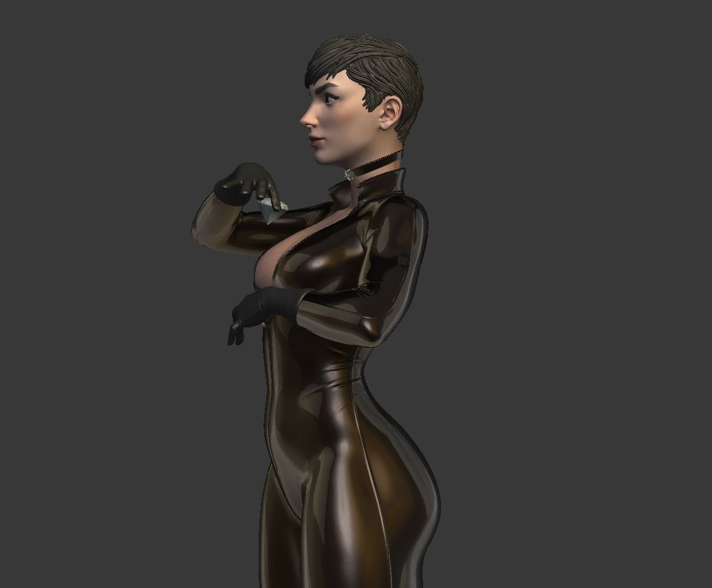 Catwoman bust 3d printable 3D print model_3