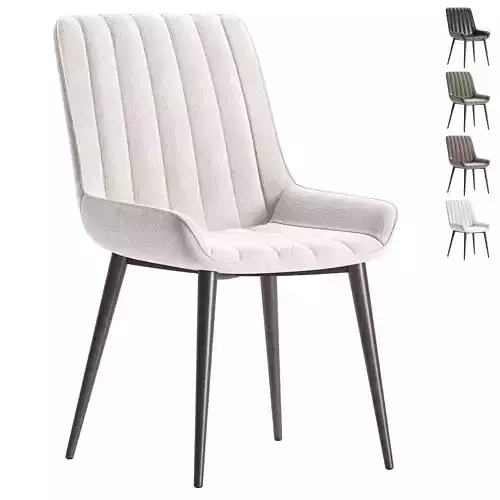 Modern Carbon Steel Frame Dining Chair