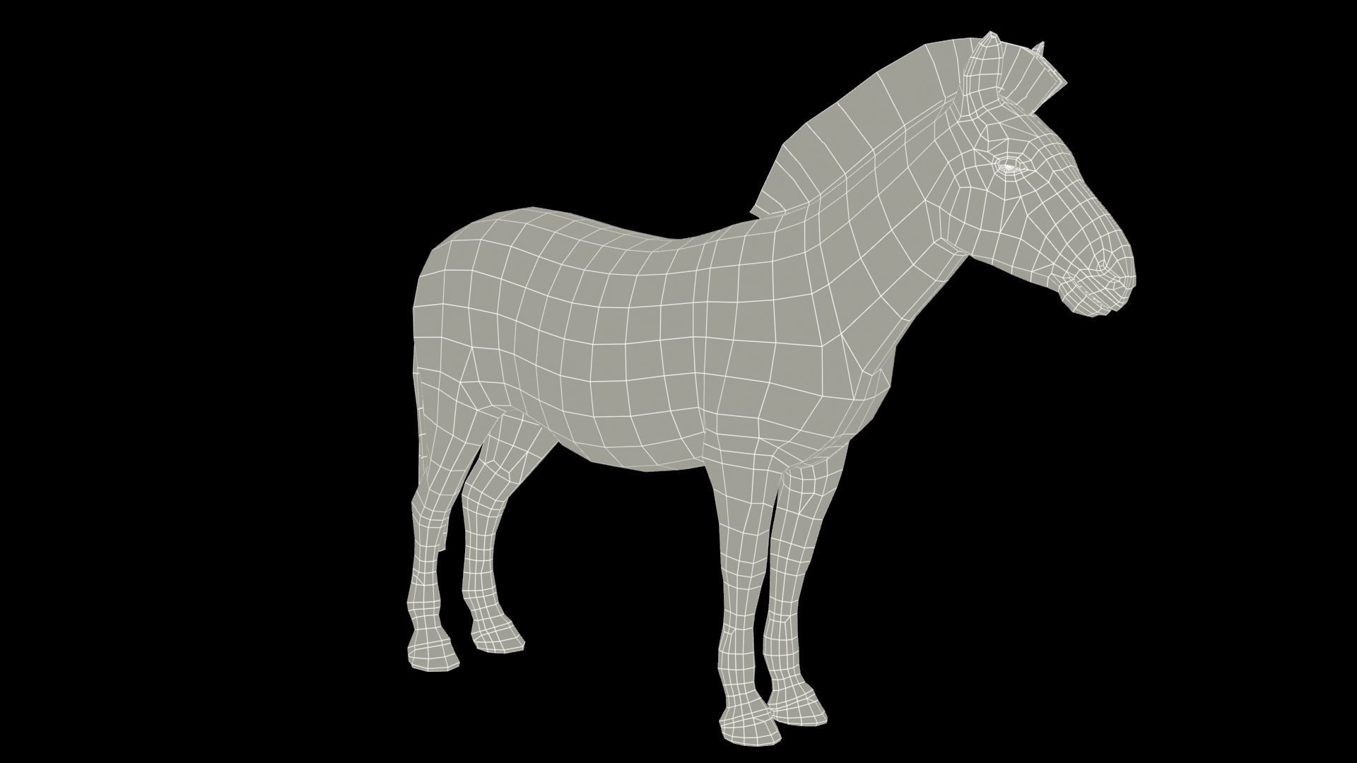 Zebra Animated Low-poly 3D model_9