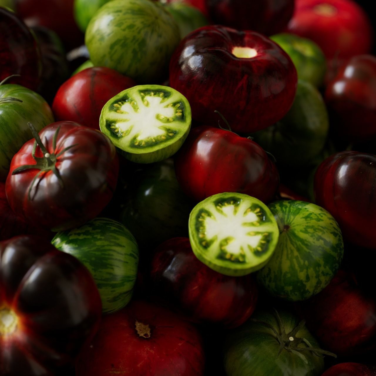 polypasta - tomatoes set 01 3D model_3