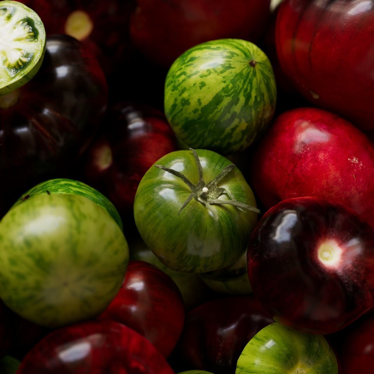 polypasta - tomatoes set 01 3D model_2