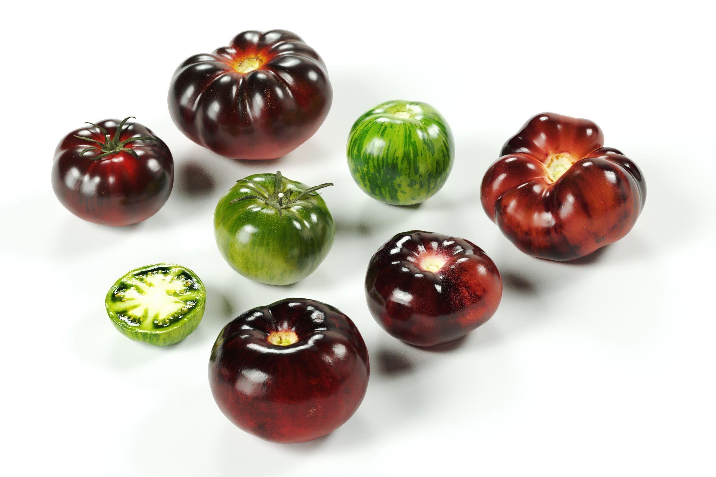 polypasta - tomatoes set 01 3D model_1