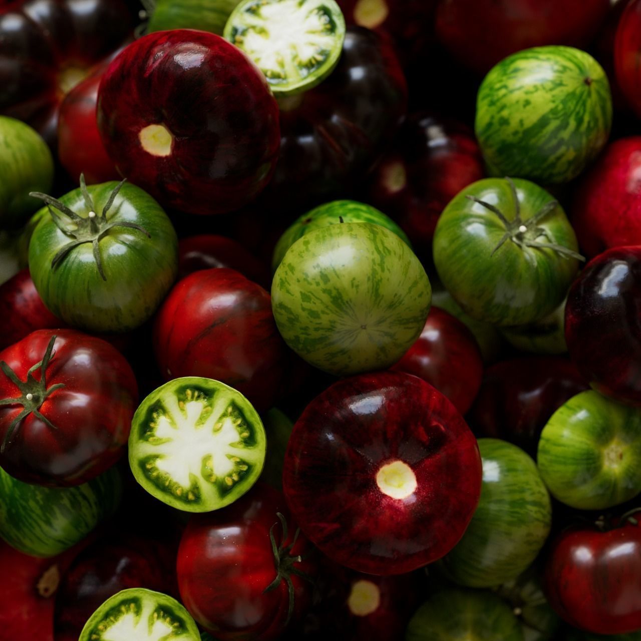 polypasta - tomatoes set 01 3D model_4