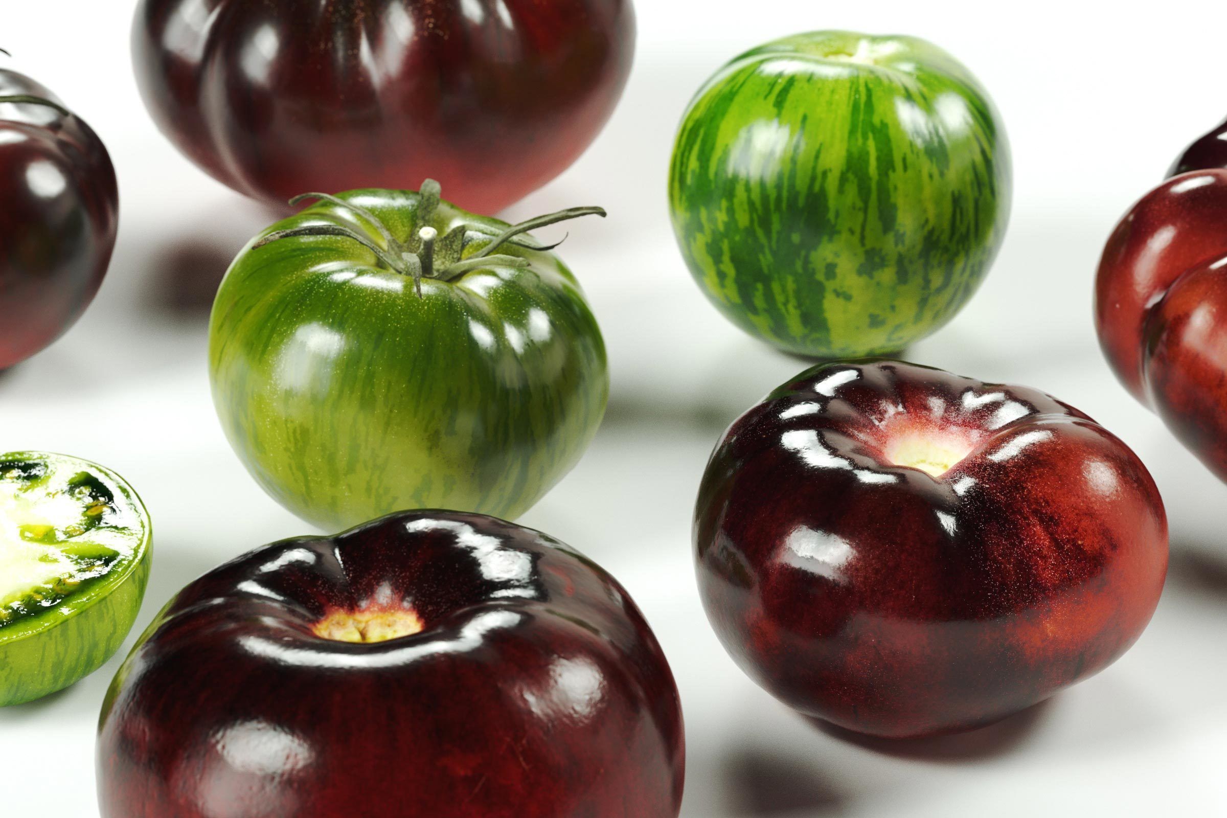 polypasta - tomatoes set 01 3D model_5