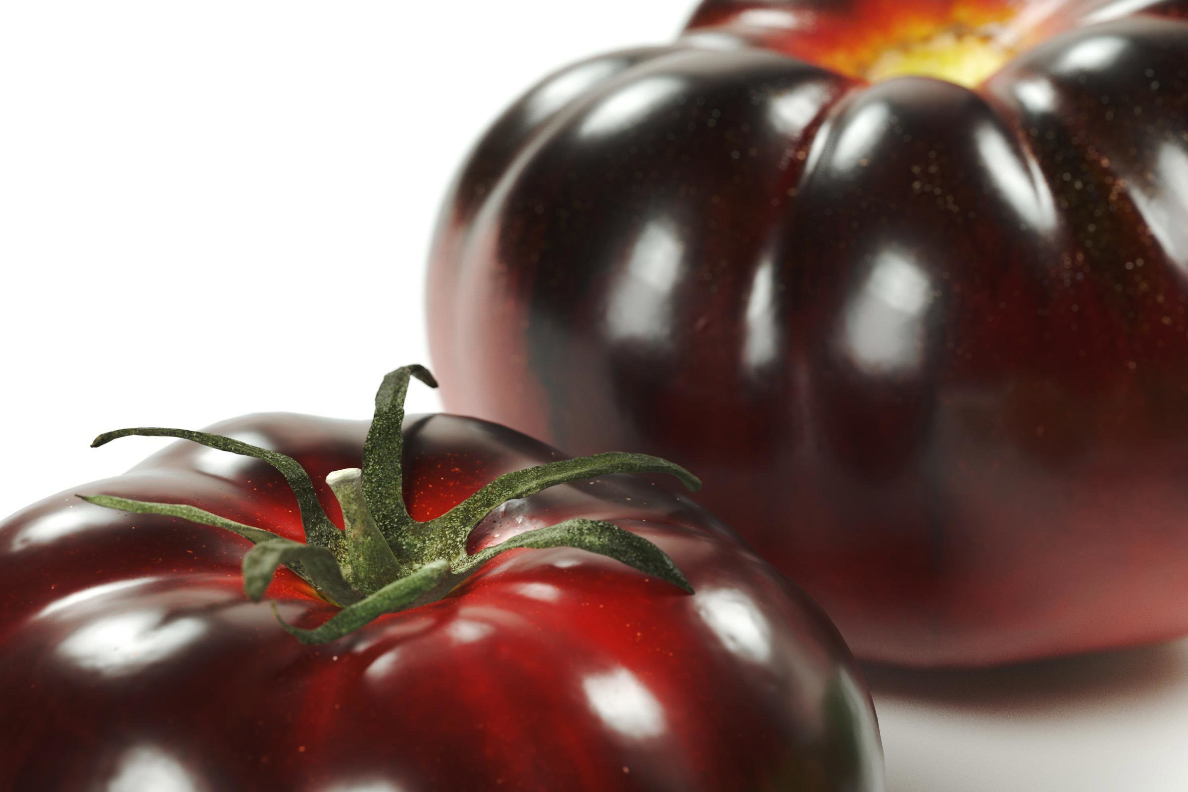 polypasta - tomatoes set 01 3D model_7