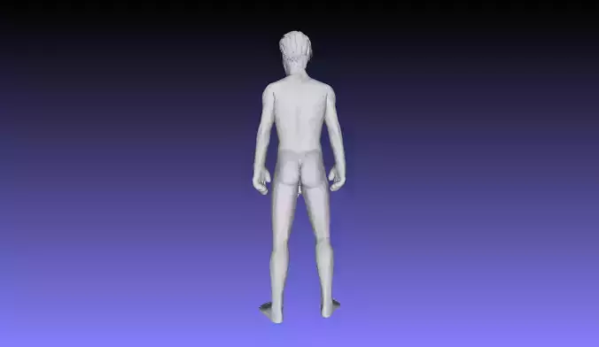 Printle N Homme 2911 P