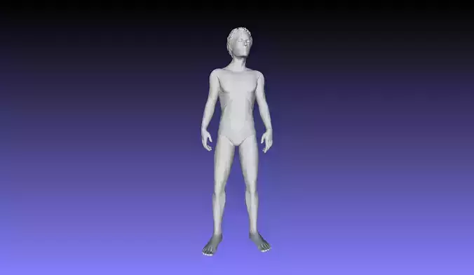 Printle N Homme 2910 P