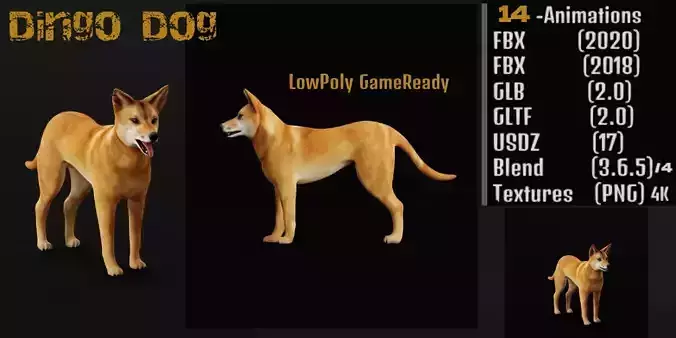 Dingo Dog Low-poly 3D model