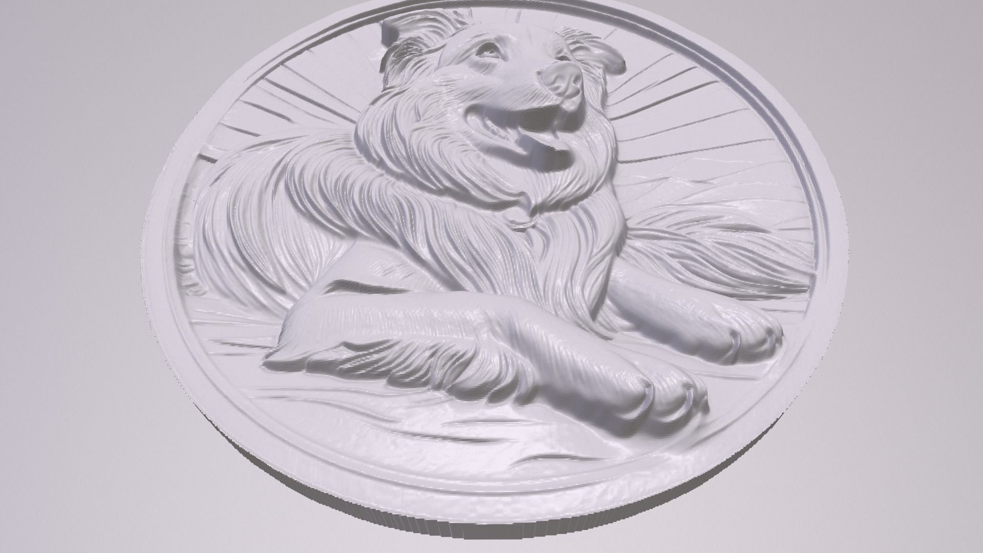 Border Collie 4 basrelief for 3D printing 3D print model_2