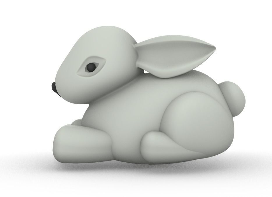 Bunny  3D print model_14
