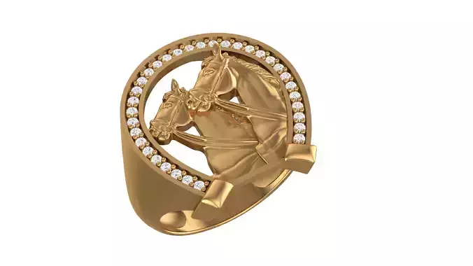 Horse Ring New