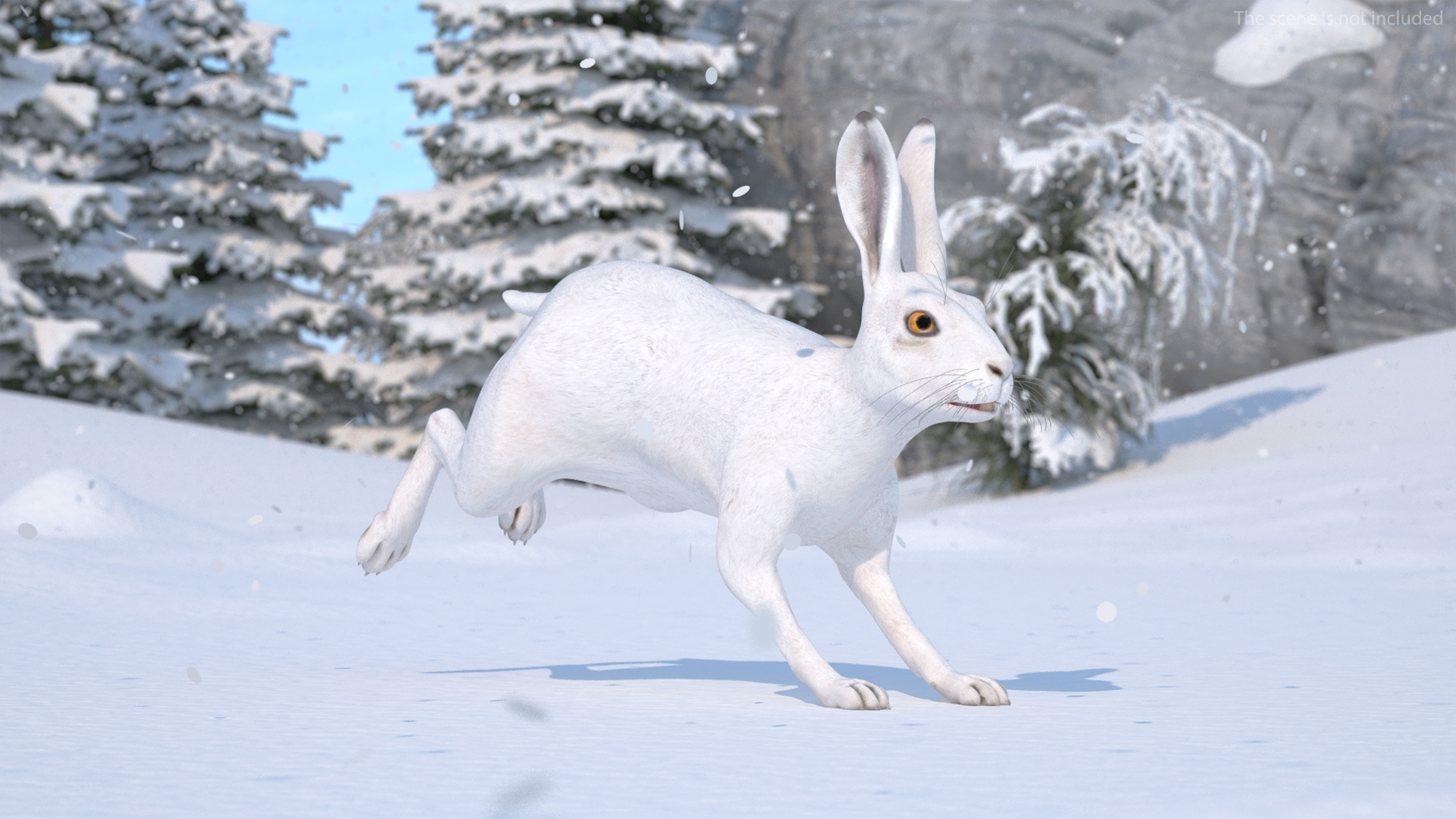 White Hare Animated 3D model
