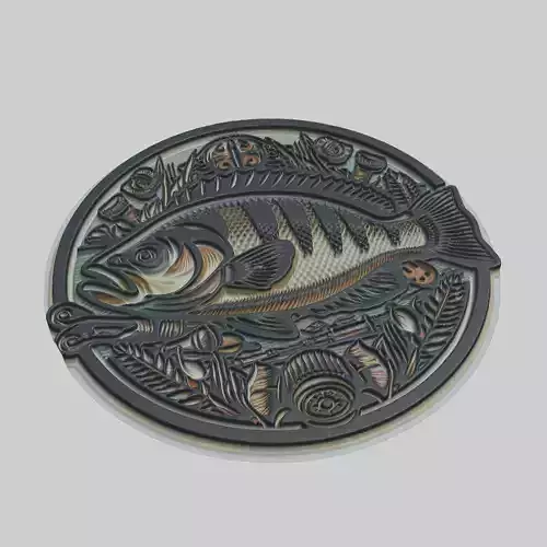 Gilthead Bream Animal