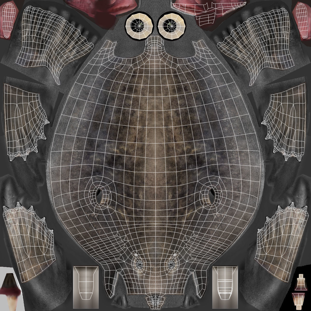 Grey Seal 3D model_20