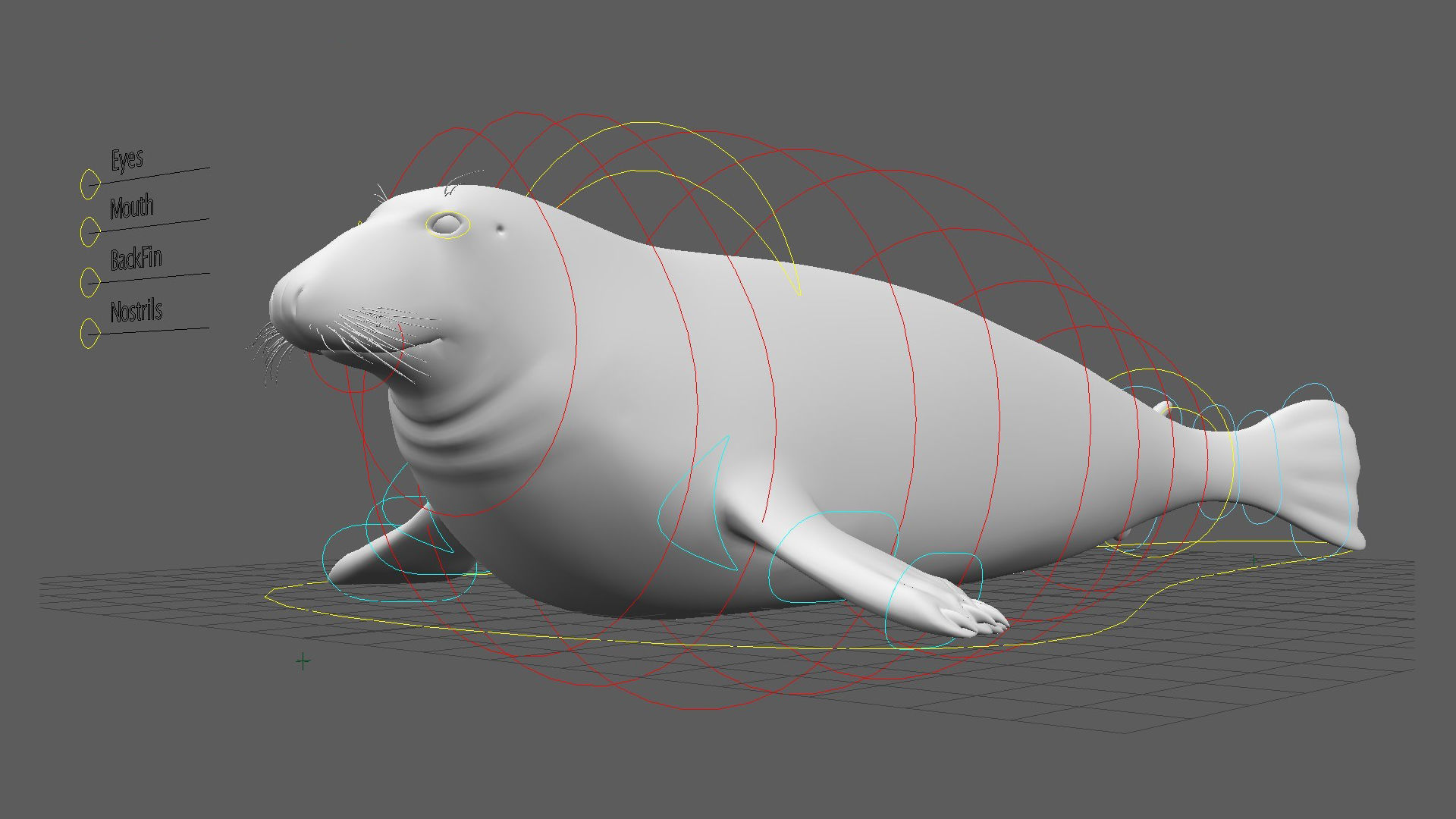 Grey Seal 3D model_18
