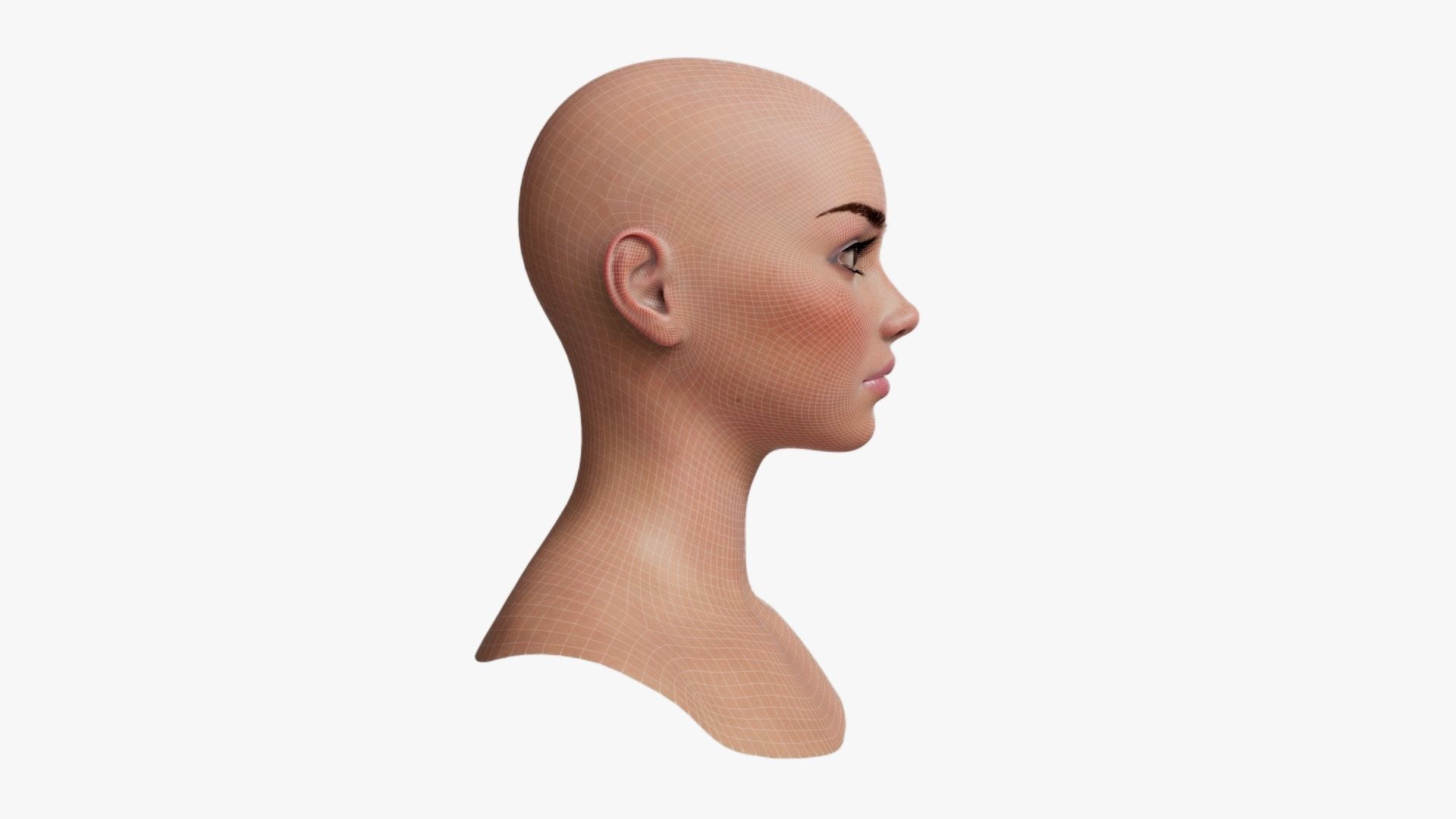 Female Head Mesh Metahuman Unreal Topology Woman Head Mesh v1 3D model_14