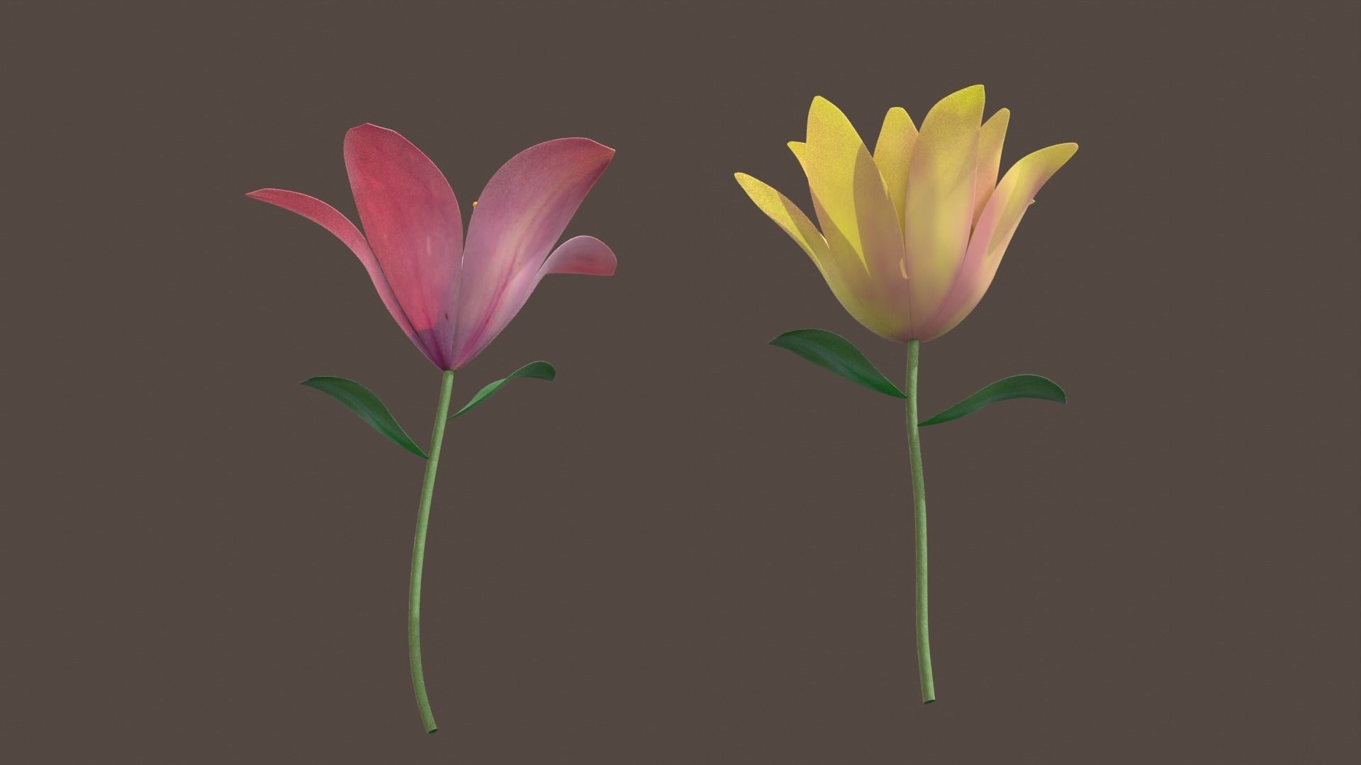 Flowers 3D model_4