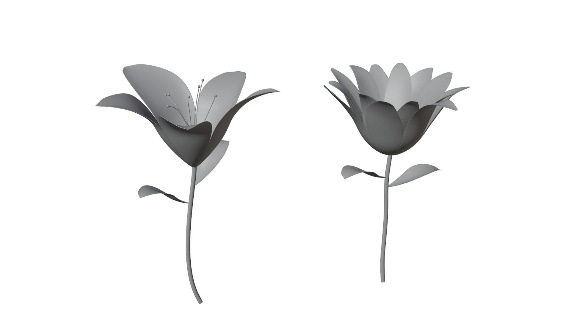 Flowers 3D model_3