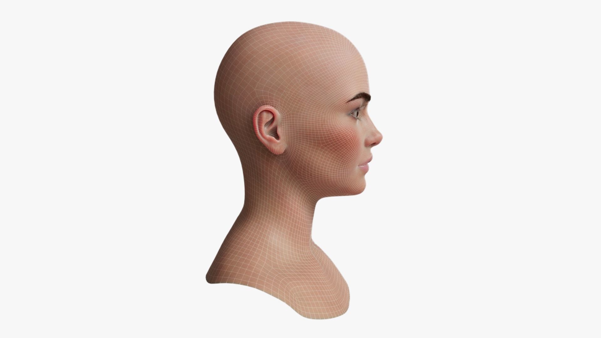 Female Head Mesh Metahuman Unreal Topology Woman Head Mesh v2 3D model_11