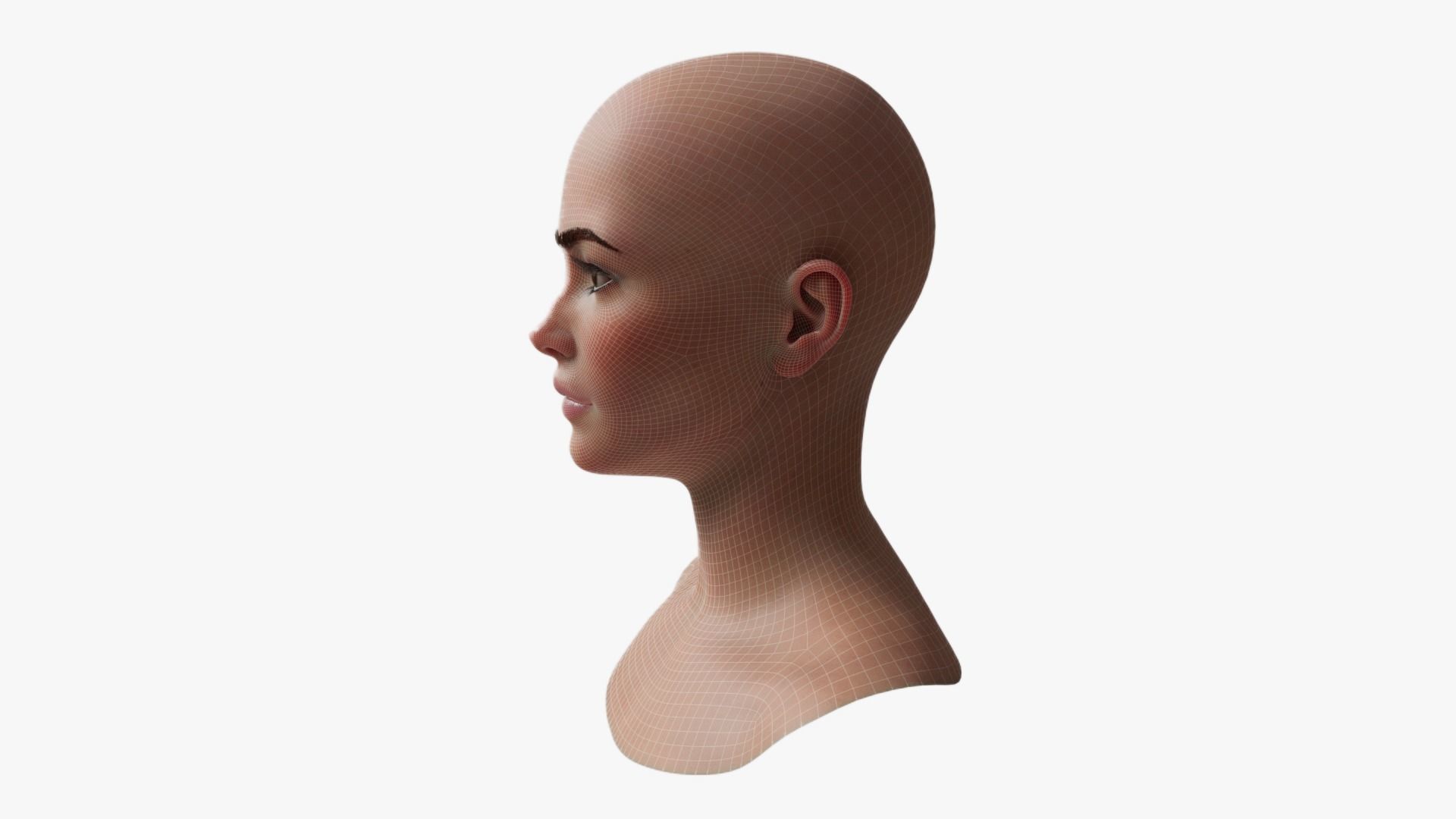 Female Head Mesh Metahuman Unreal Topology Woman Head Mesh v2 3D model_12