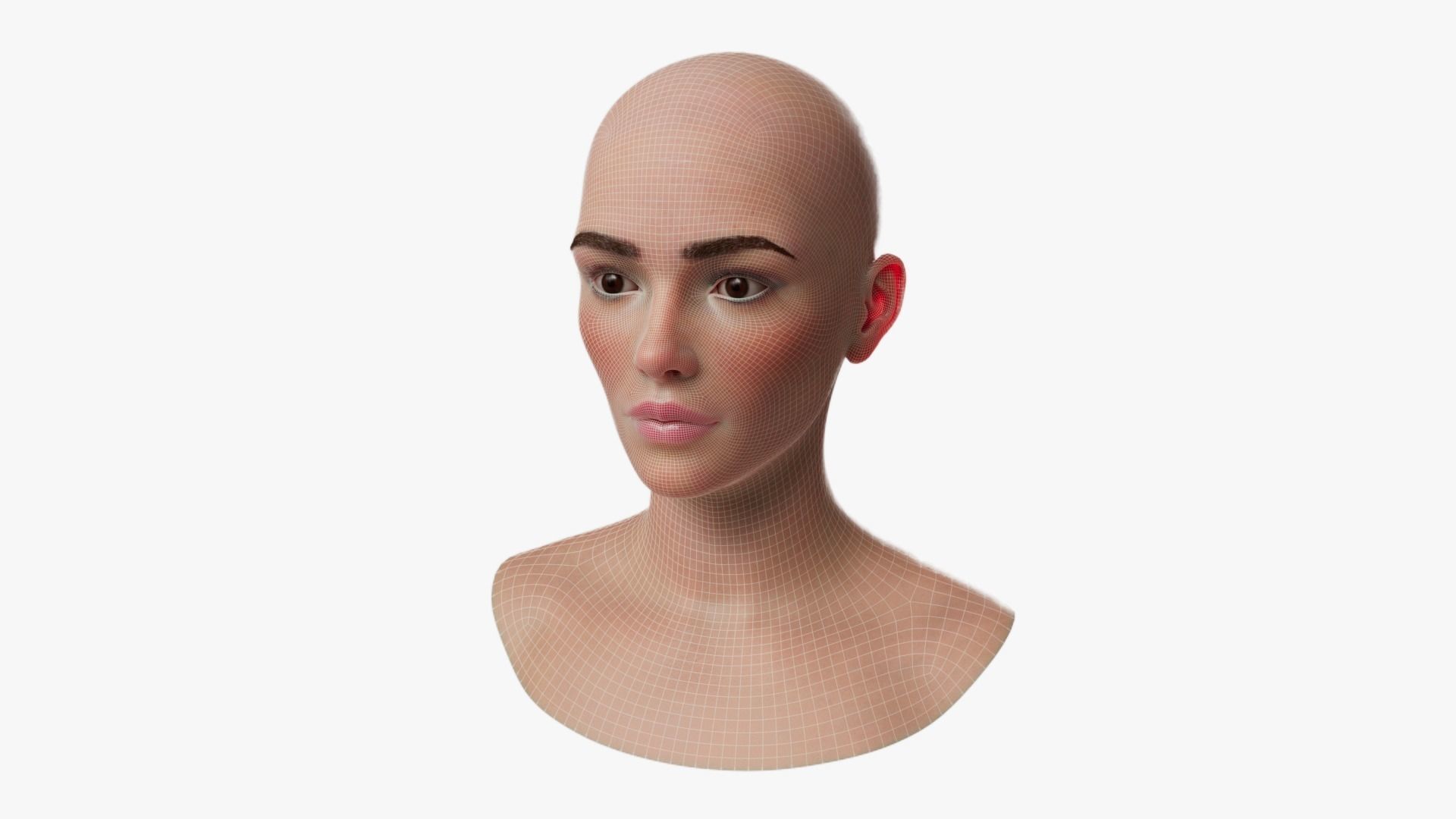 Female Head Mesh Metahuman Unreal Topology Woman Head Mesh v2 3D model_10