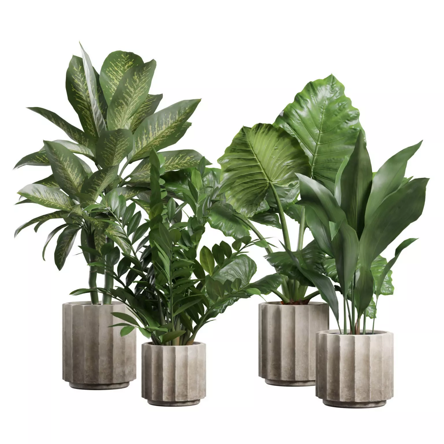 Indoor Plants Pack 74 3D model