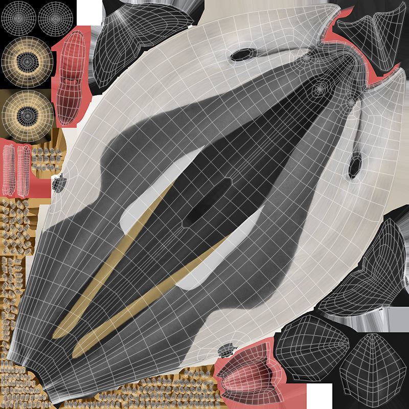 Atlantic White-Sided Dolphin 3D model_18