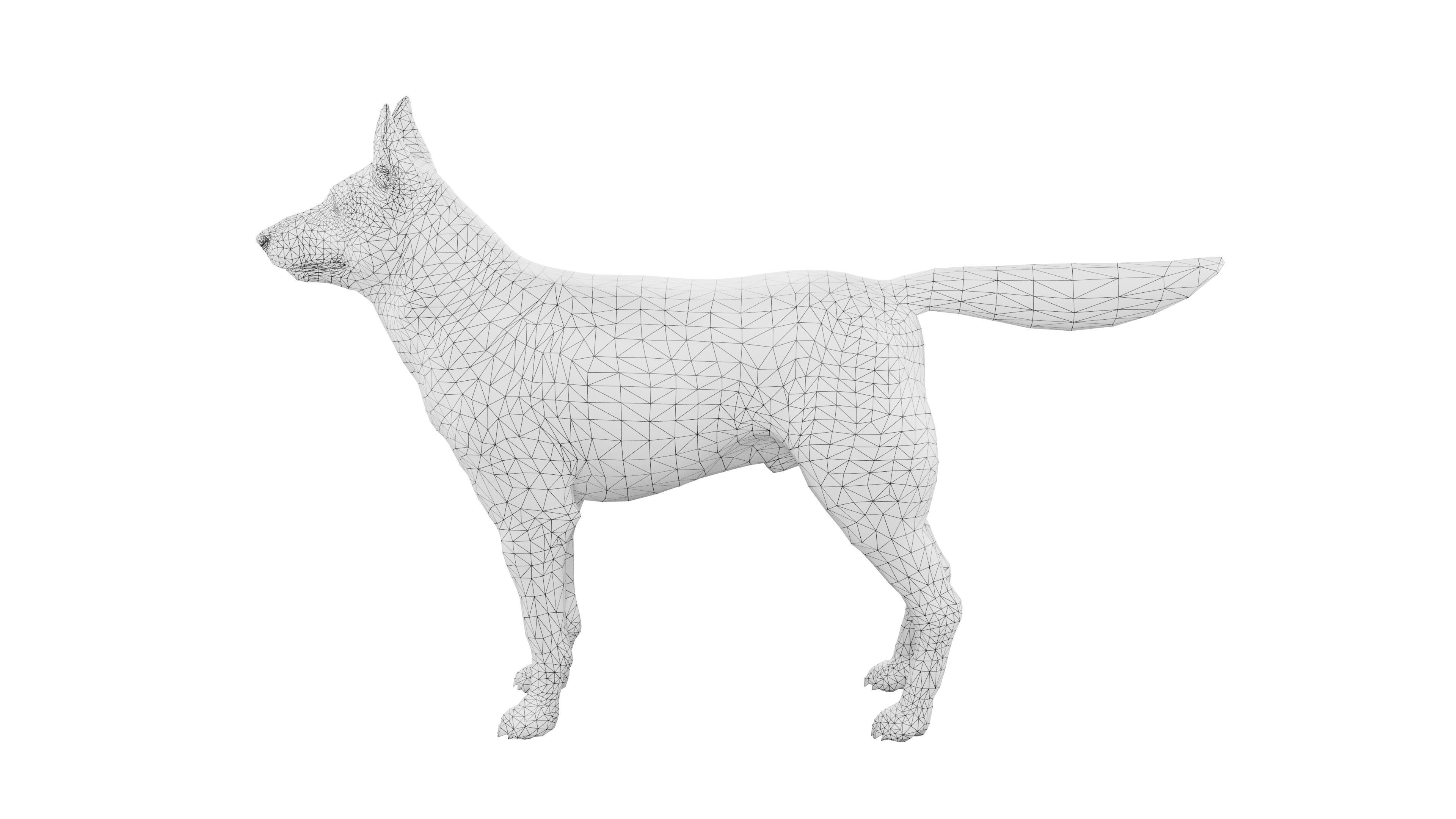 Siberian Husky Rigged Dog 3D Model Low-poly 3D model_9