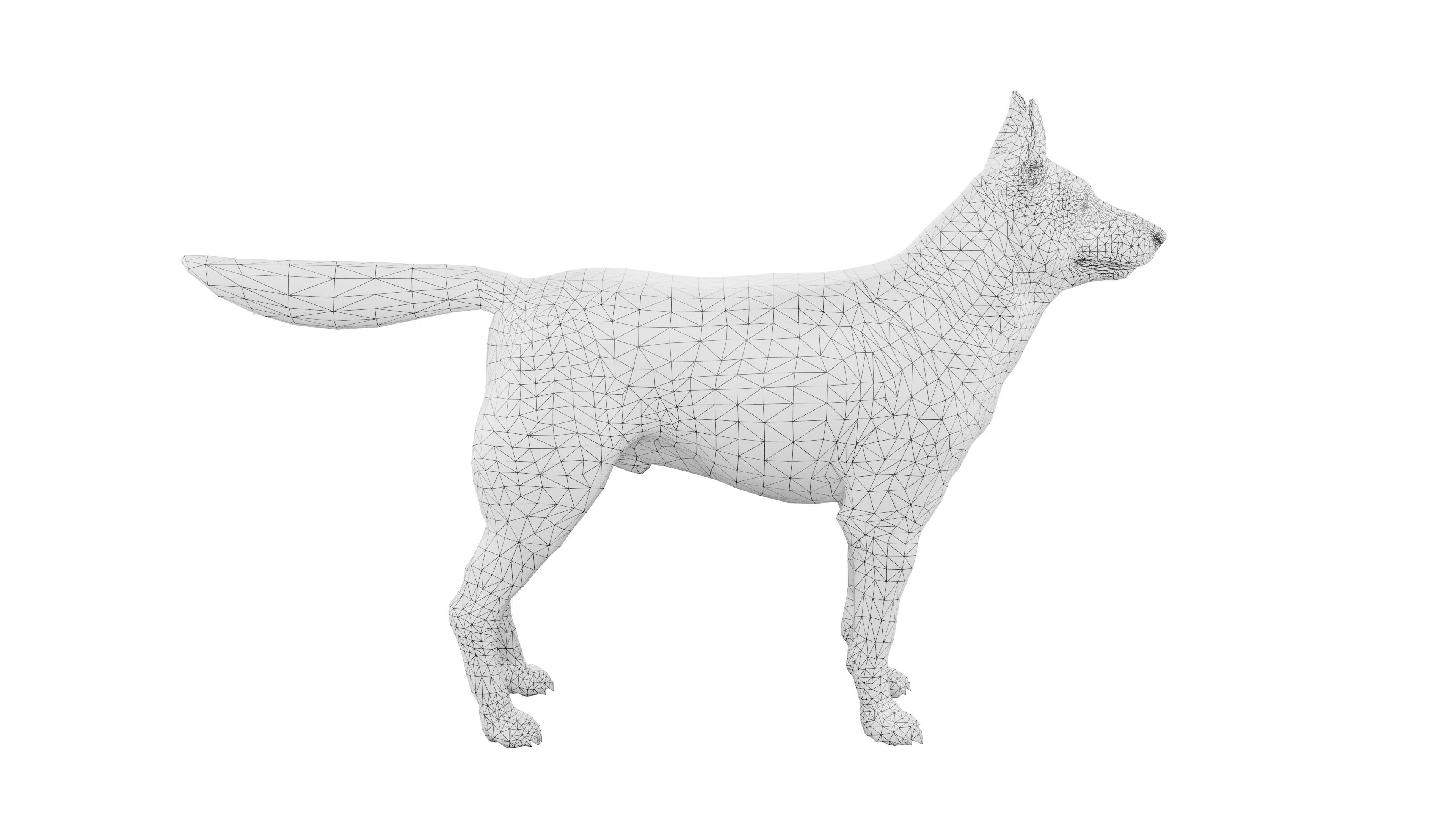 Siberian Husky Rigged Dog 3D Model Low-poly 3D model_8