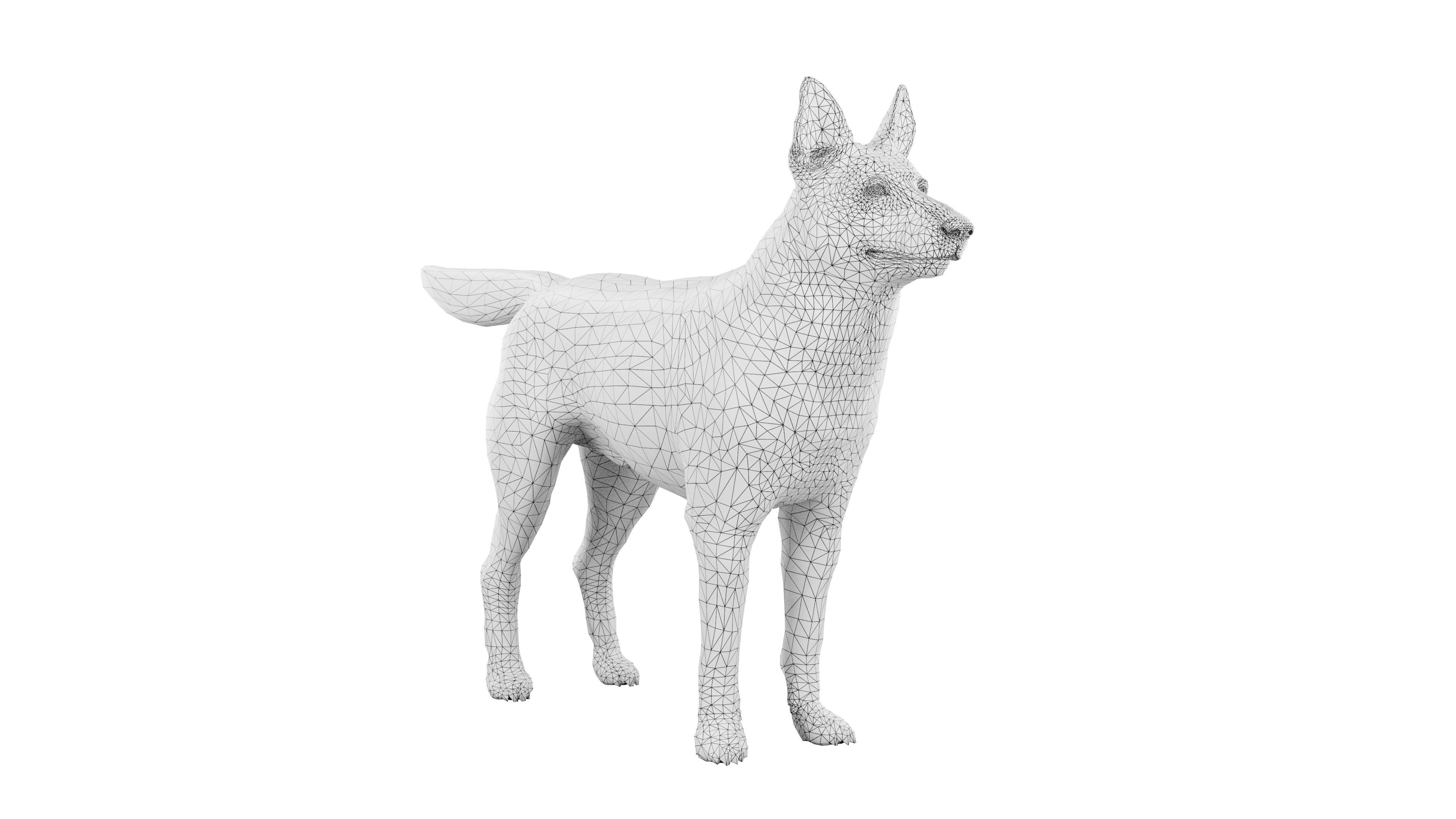Siberian Husky Rigged Dog 3D Model Low-poly 3D model_10