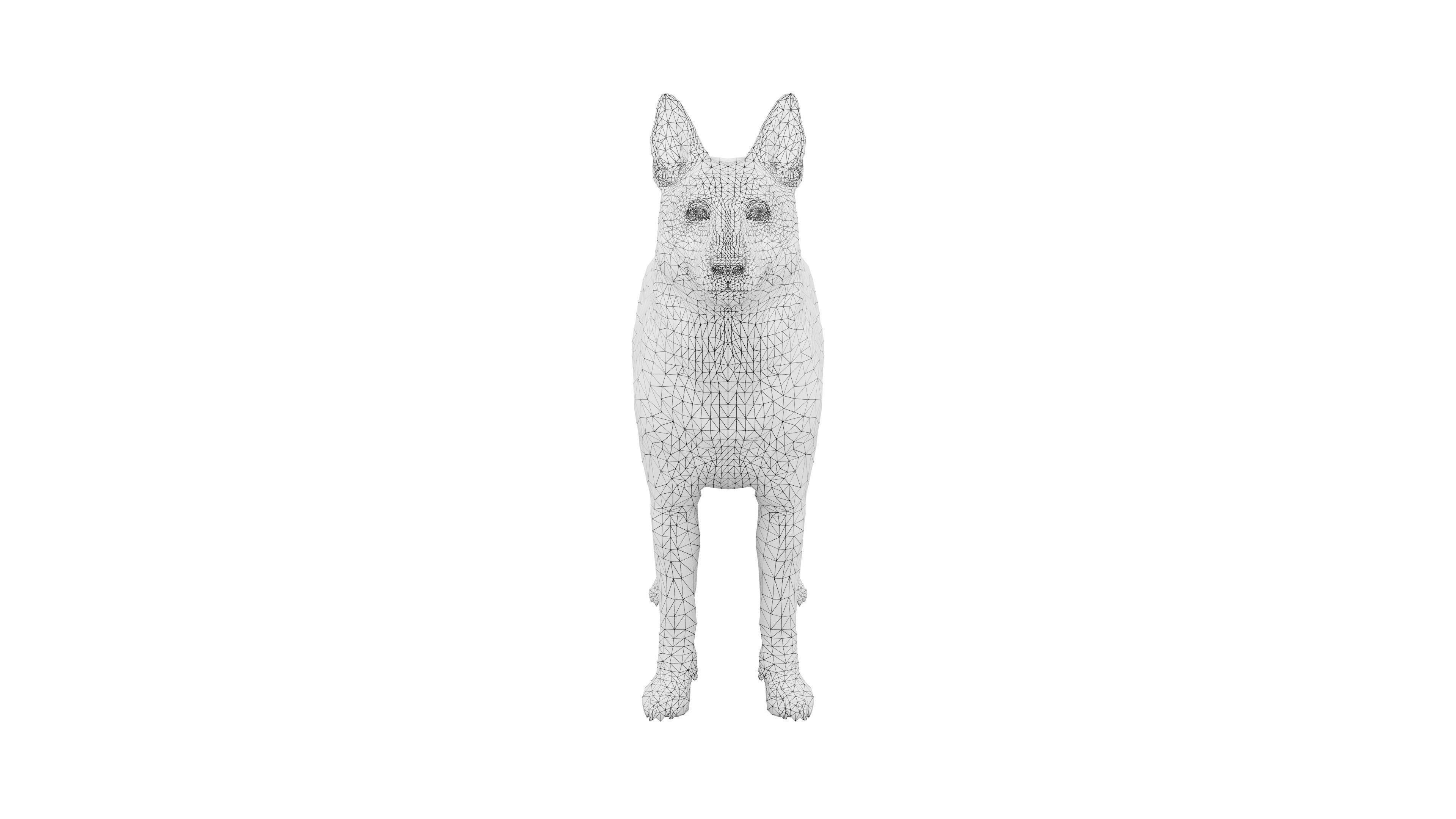 Siberian Husky Rigged Dog 3D Model Low-poly 3D model_6