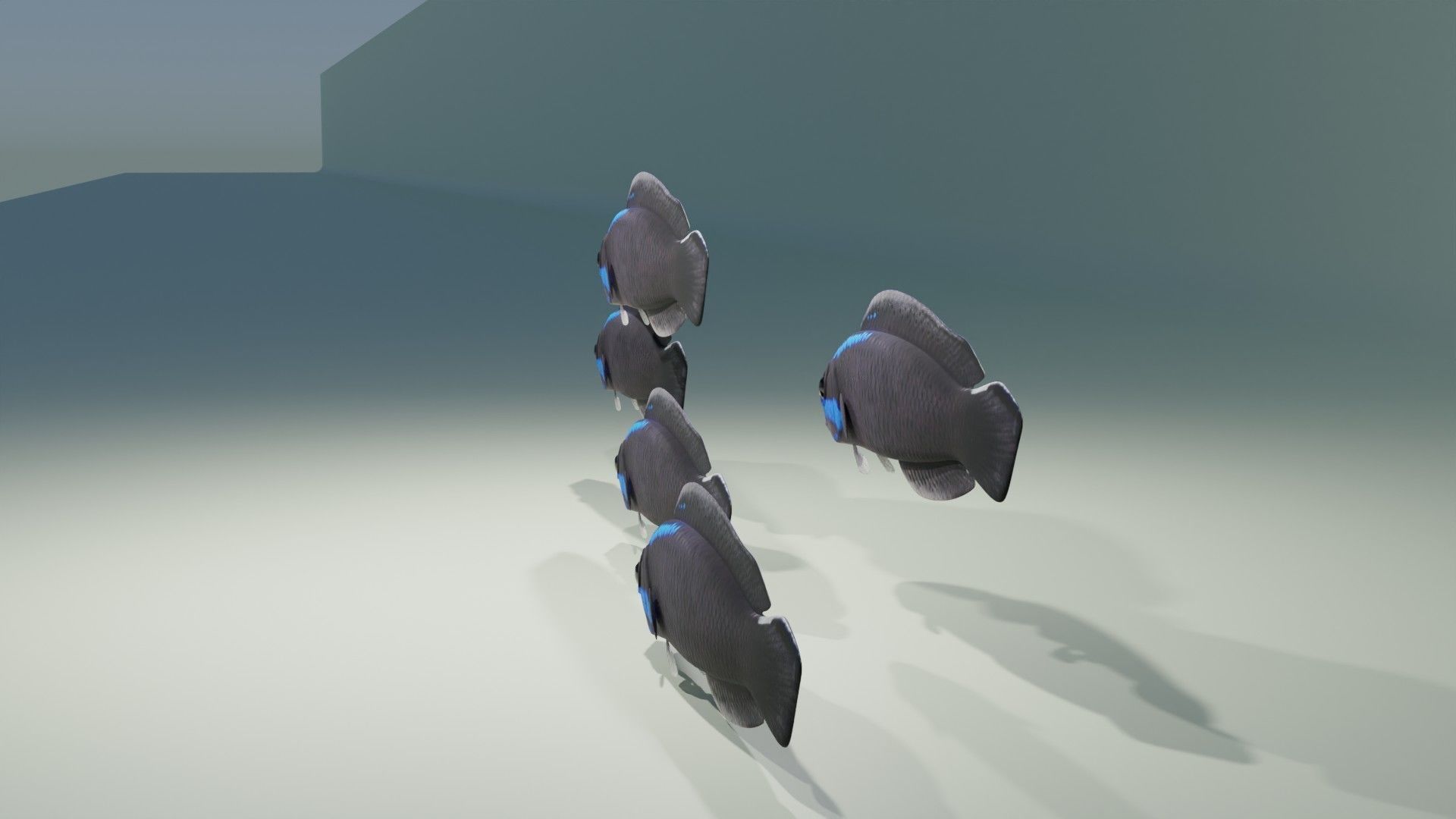 Springeri Dottyback Fish 3D model_2