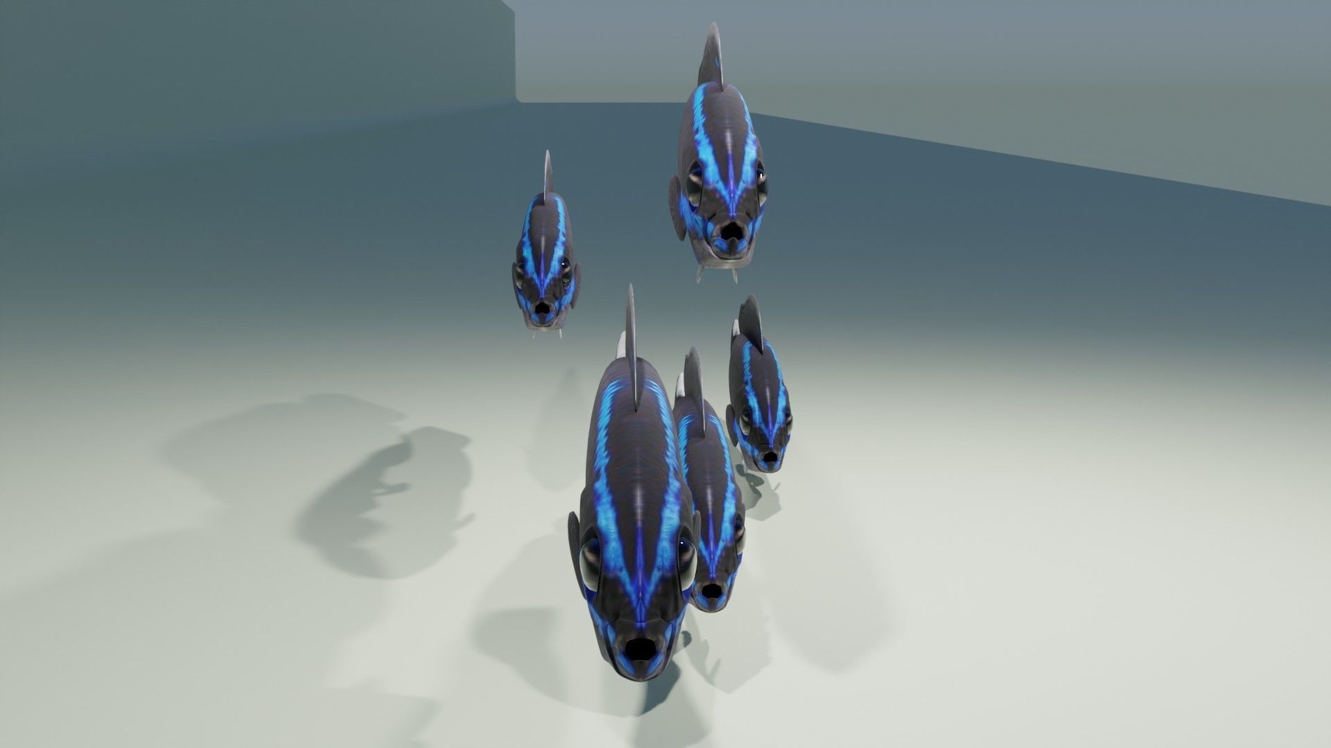 Springeri Dottyback Fish 3D model_3