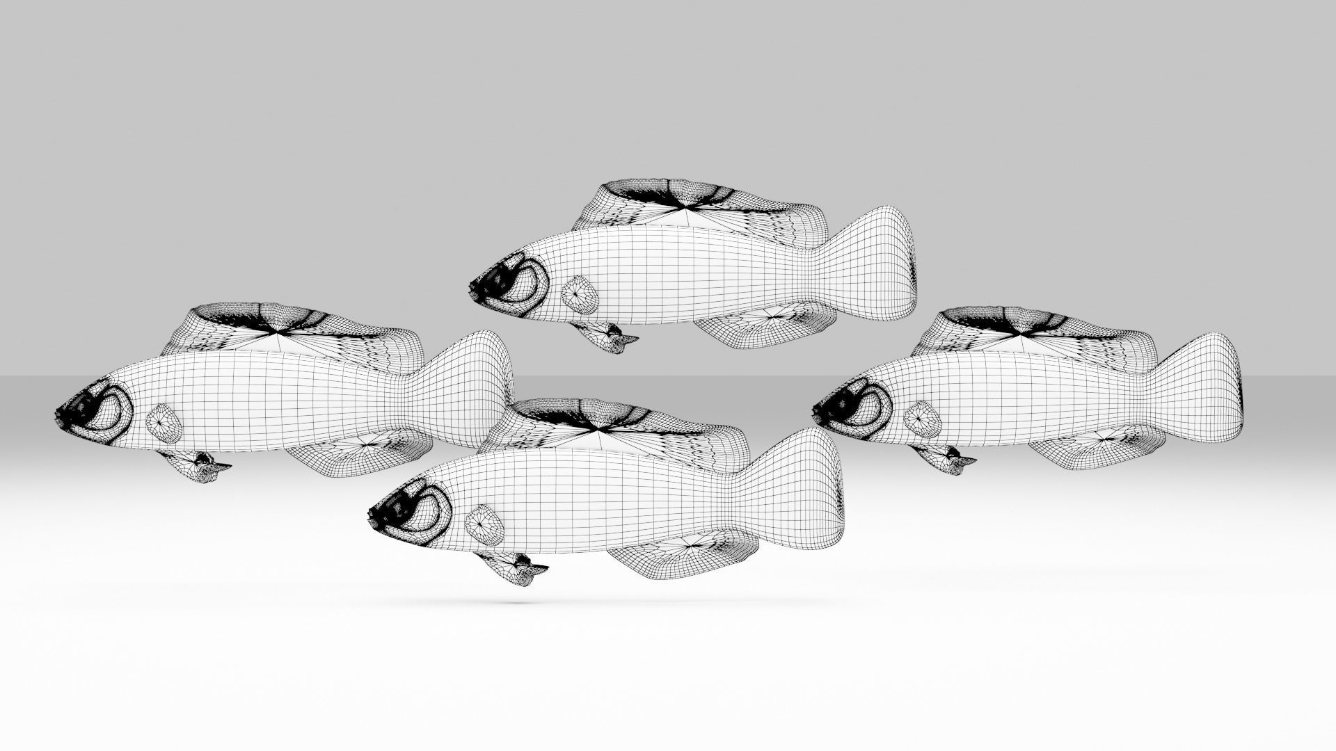 Sunrise Dottyback Fish 3D model_5