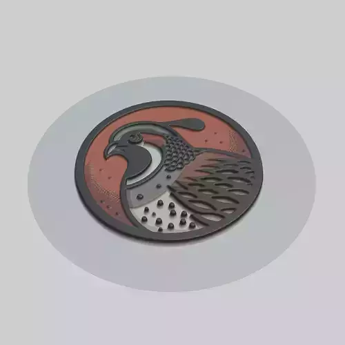 Quail Animal