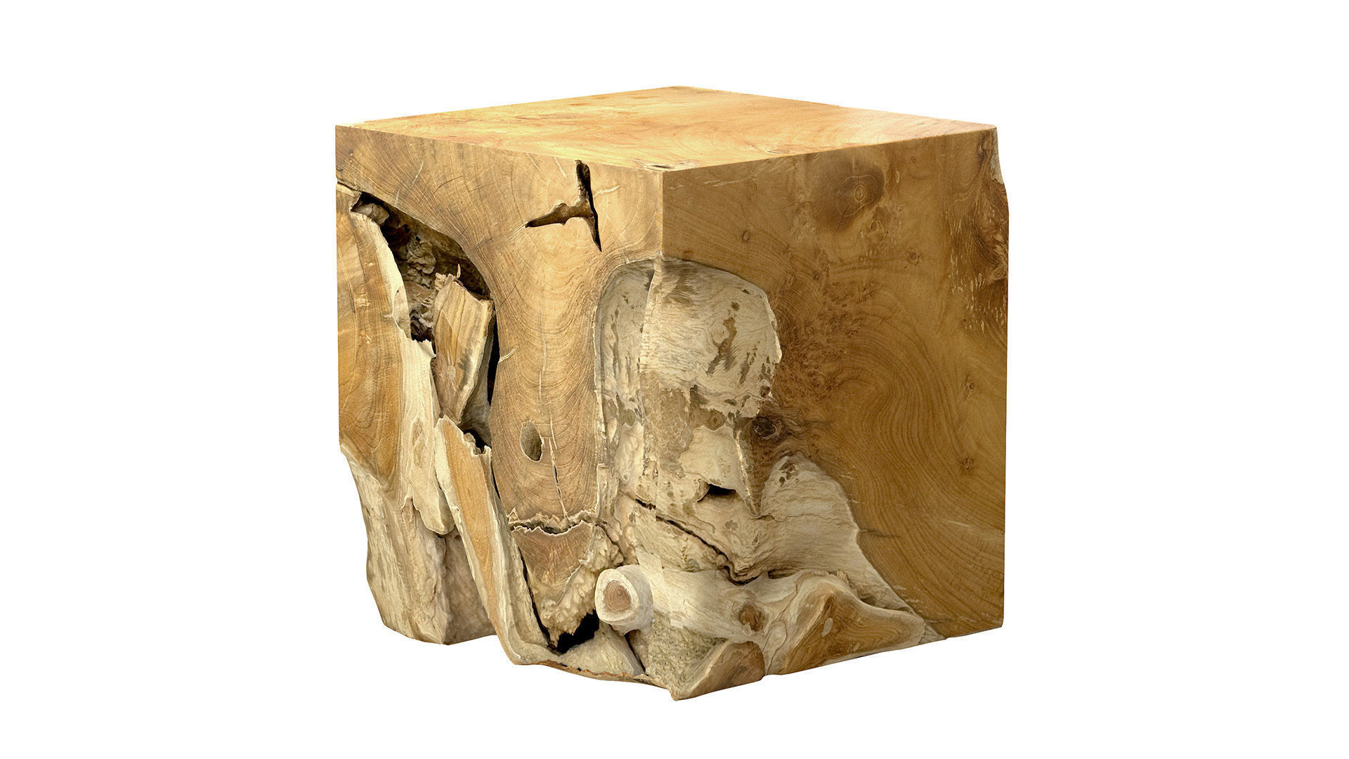 Accent Square Root Coffee Table 3D model_2