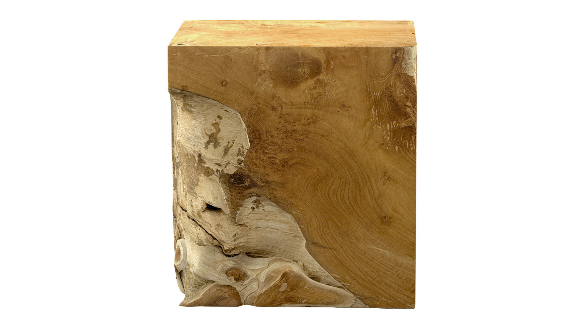 Accent Square Root Coffee Table 3D model_1