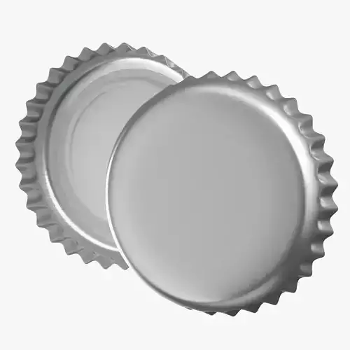 Silver bottle cap