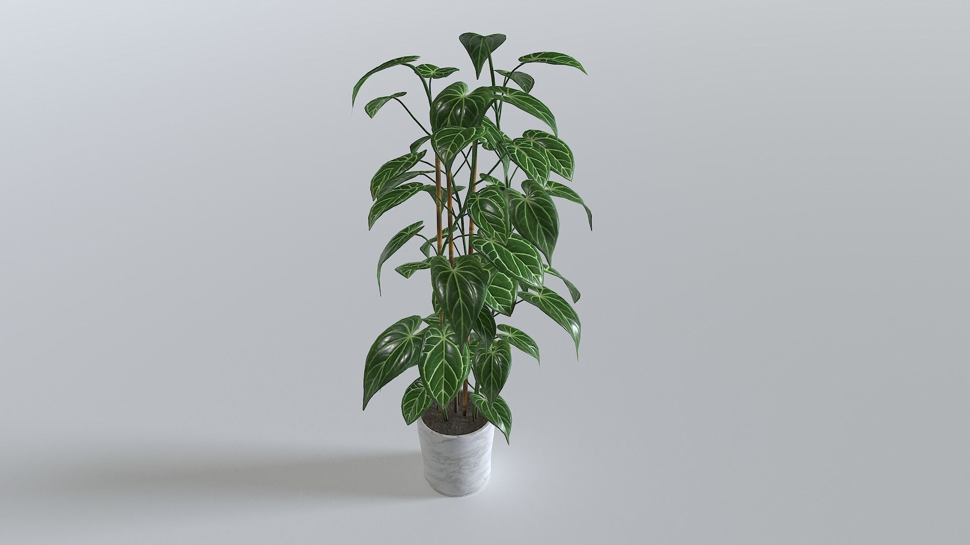 Pot Tropical Plant 1 Low-poly 3D model_1