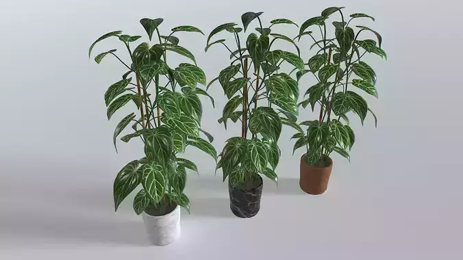 Pot Tropical Plant 1 Low-poly 3D model