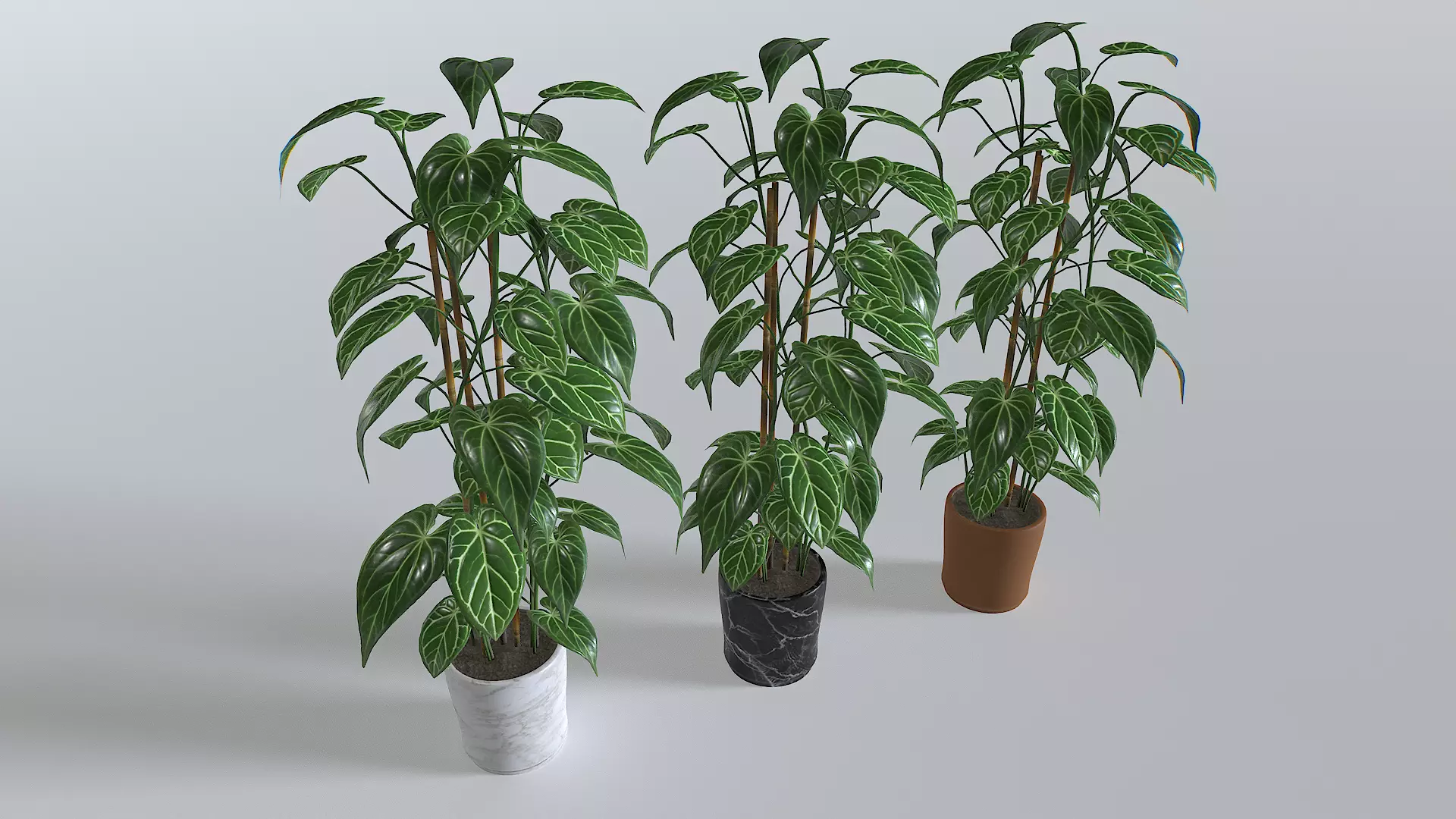 Pot Tropical Plant 1 Low-poly 3D model_0