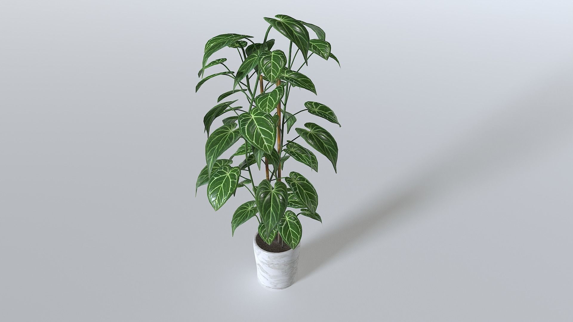 Pot Tropical Plant 1 Low-poly 3D model_7