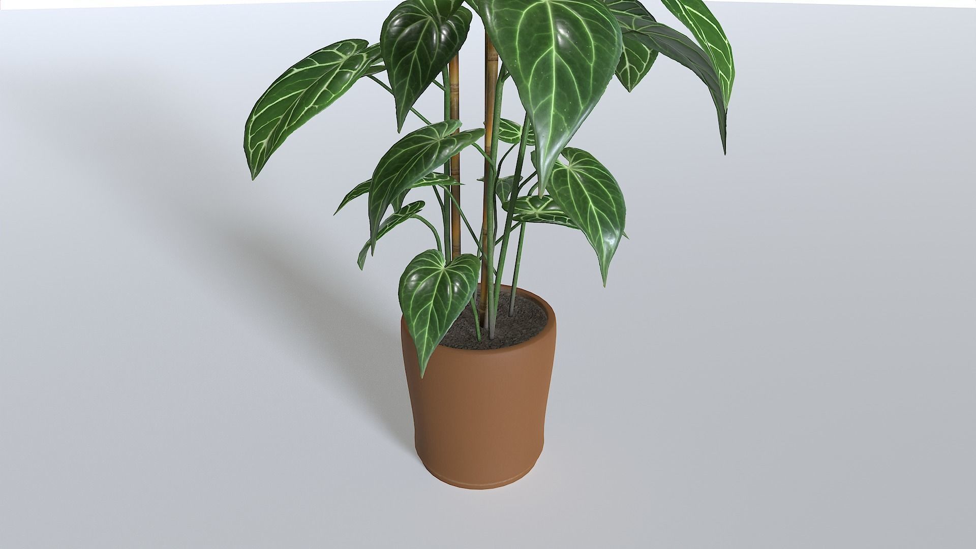 Pot Tropical Plant 1 Low-poly 3D model_4