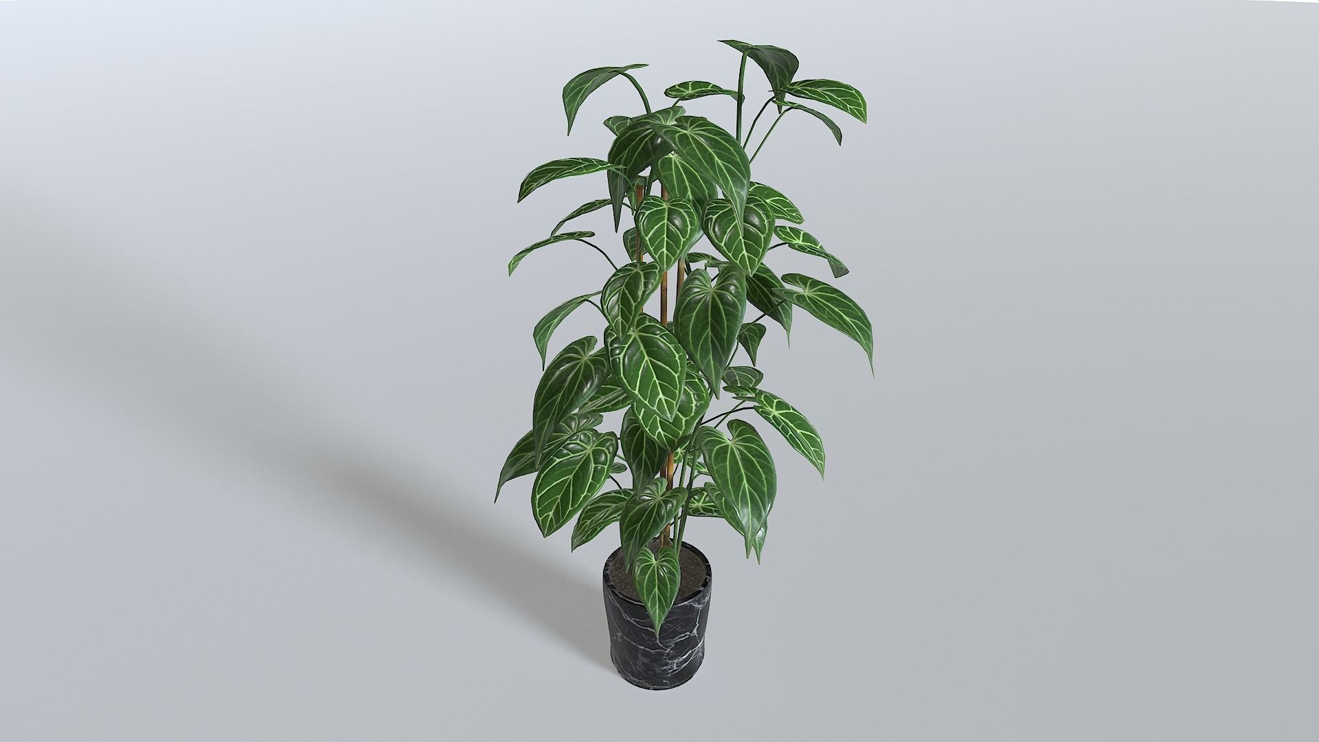 Pot Tropical Plant 1 Low-poly 3D model_2