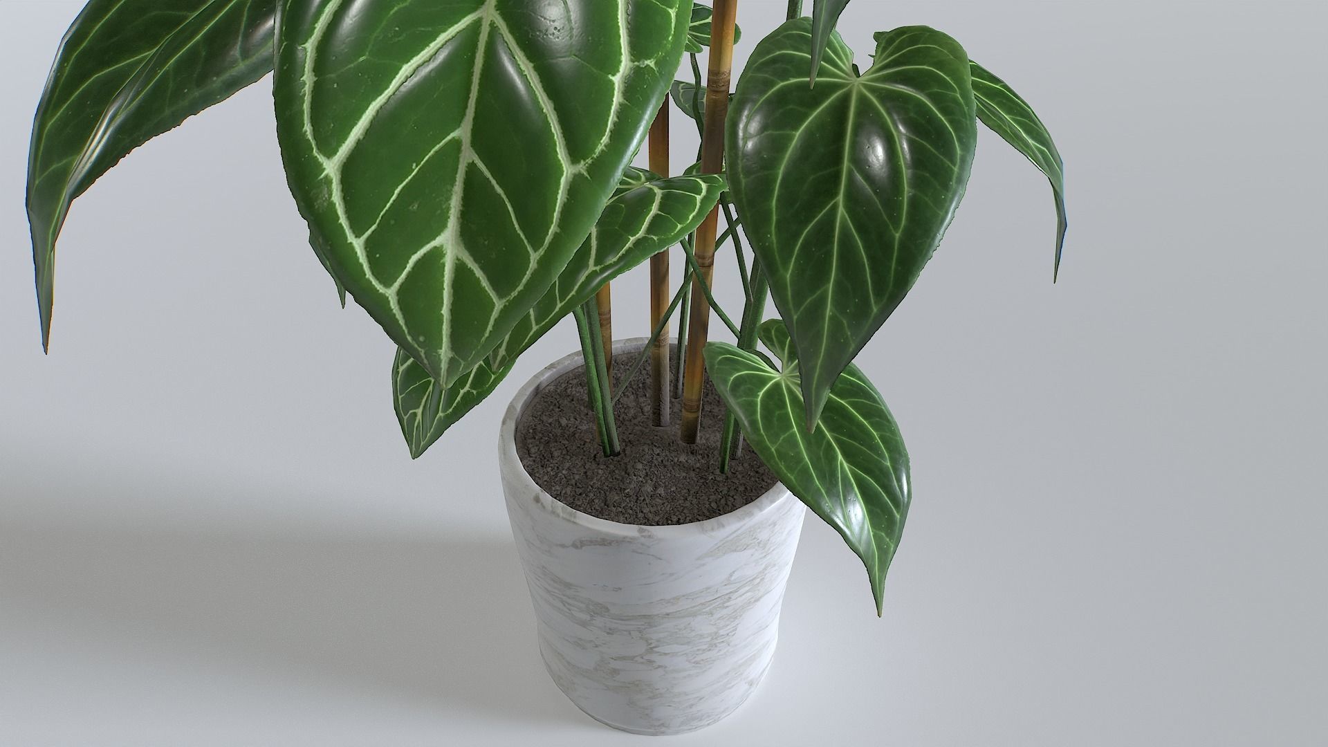 Pot Tropical Plant 1 Low-poly 3D model_8